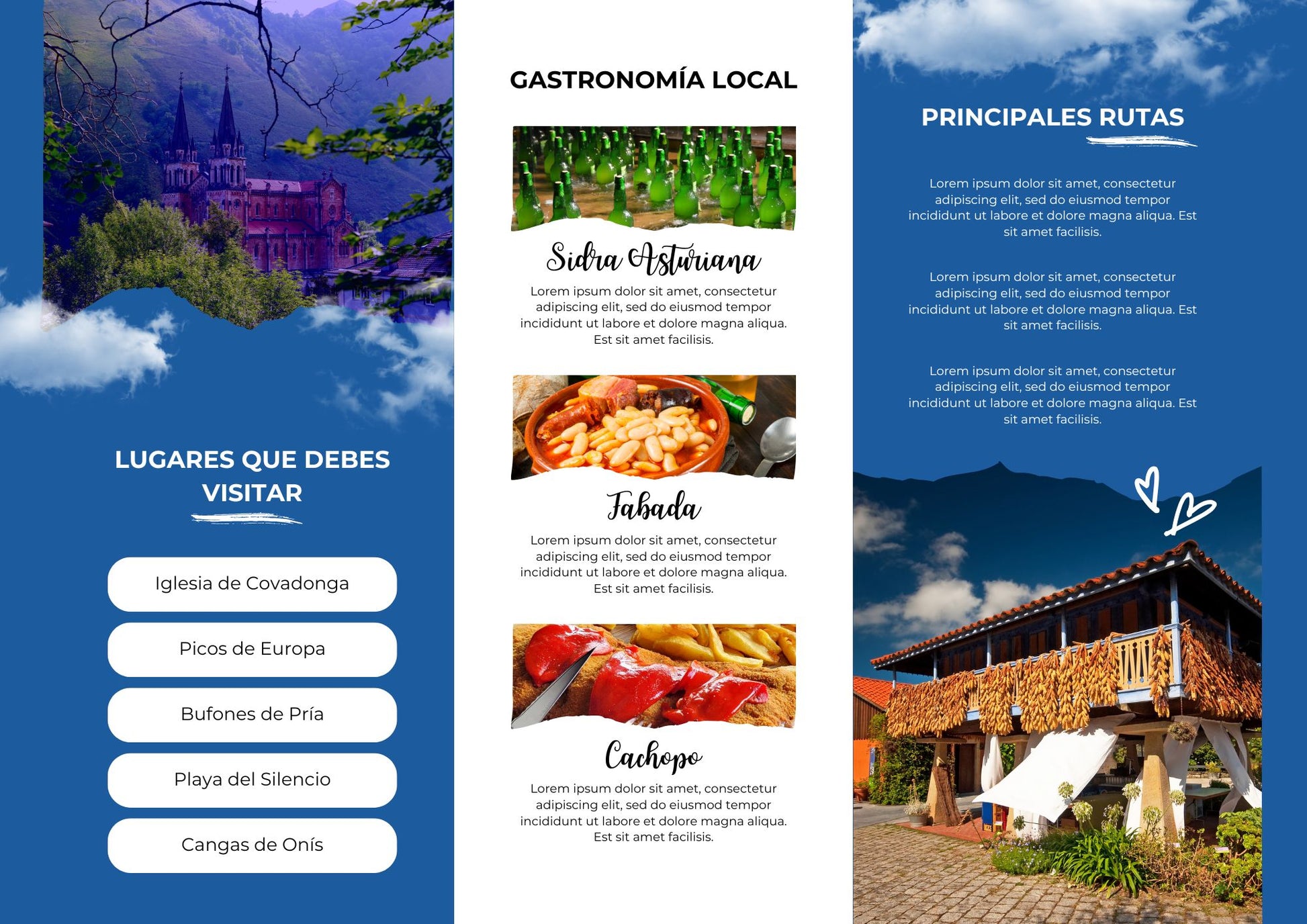 VIAJES Y TURISMO , tours