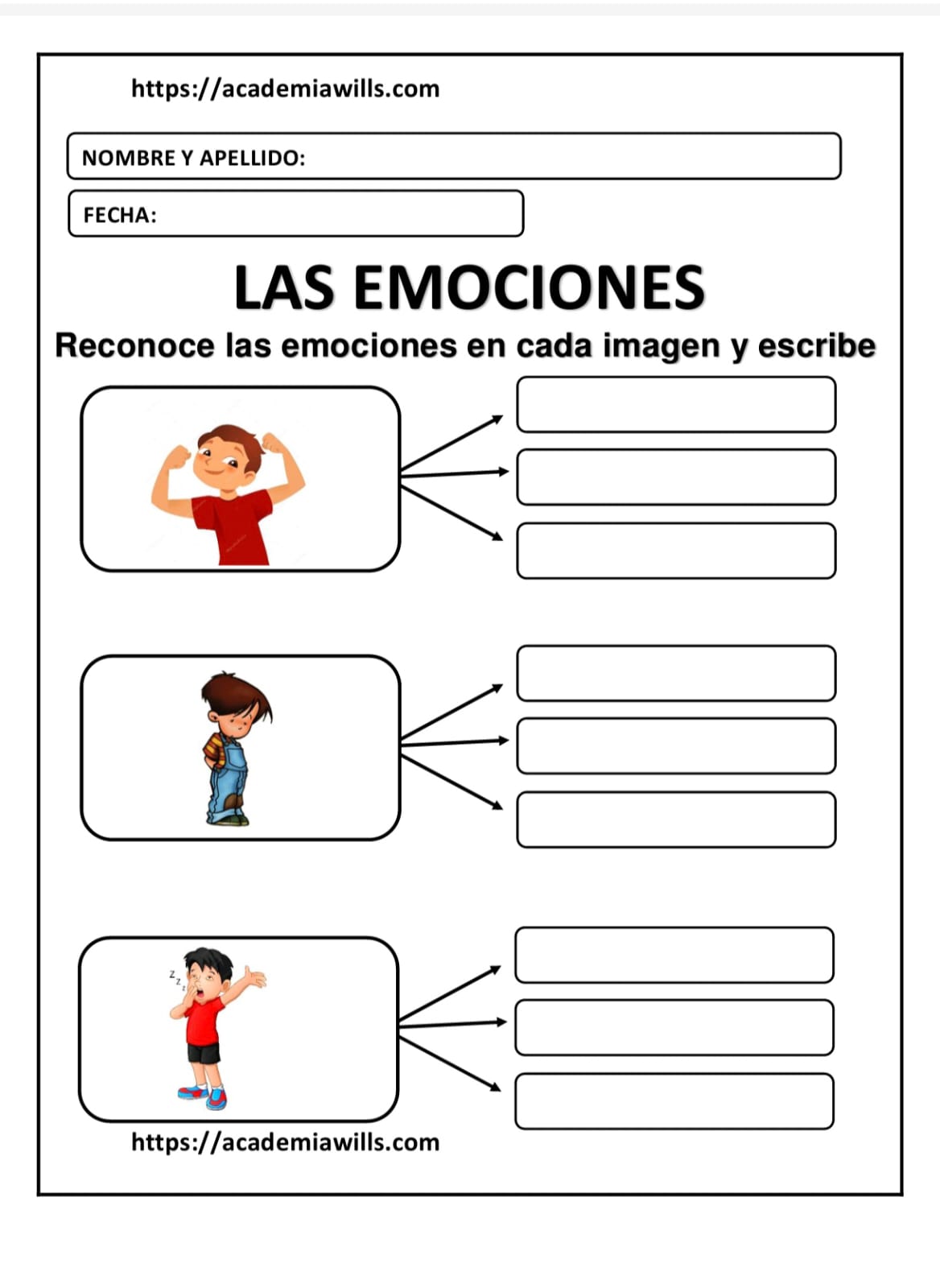 LAS EMOCIONES