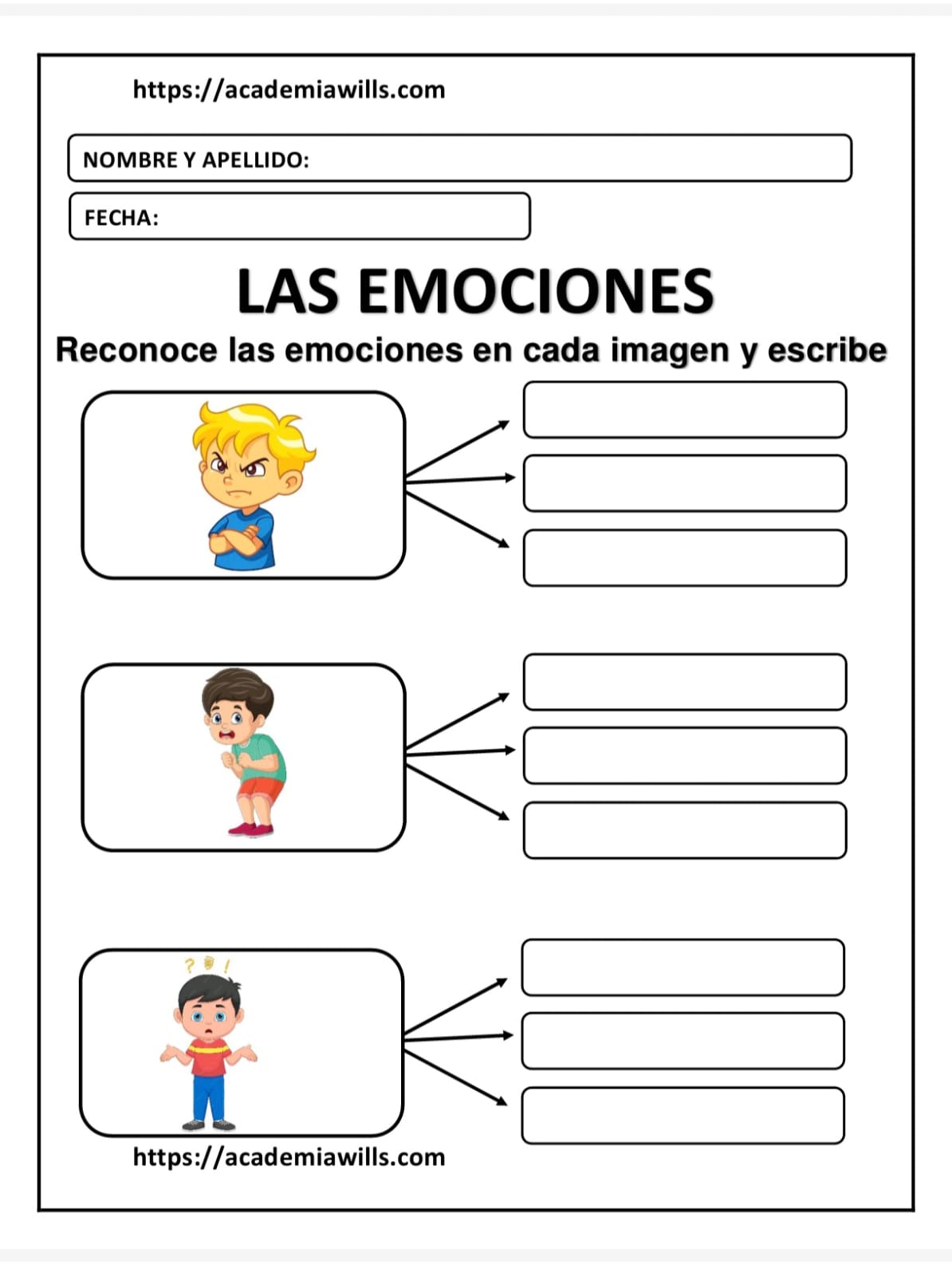 LAS EMOCIONES