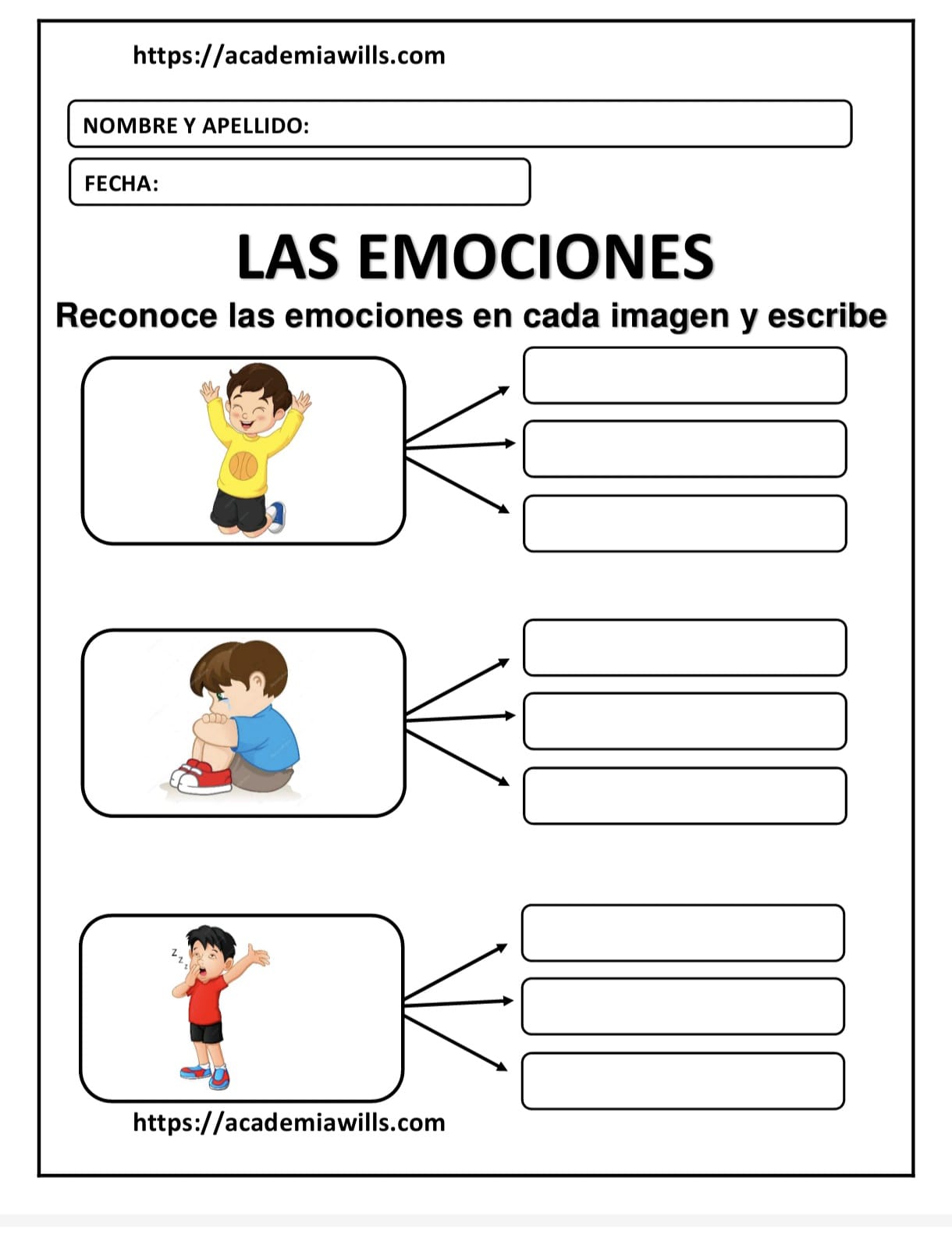 LAS EMOCIONES