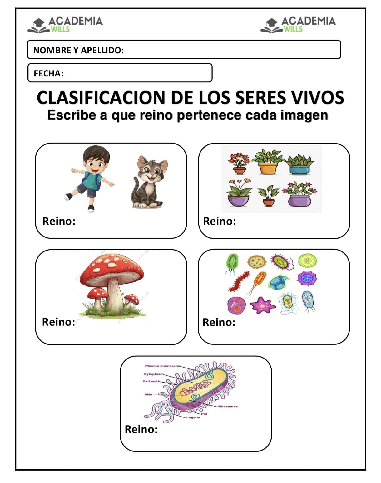 CLASIFICACION DE LOS SERES VIVOS